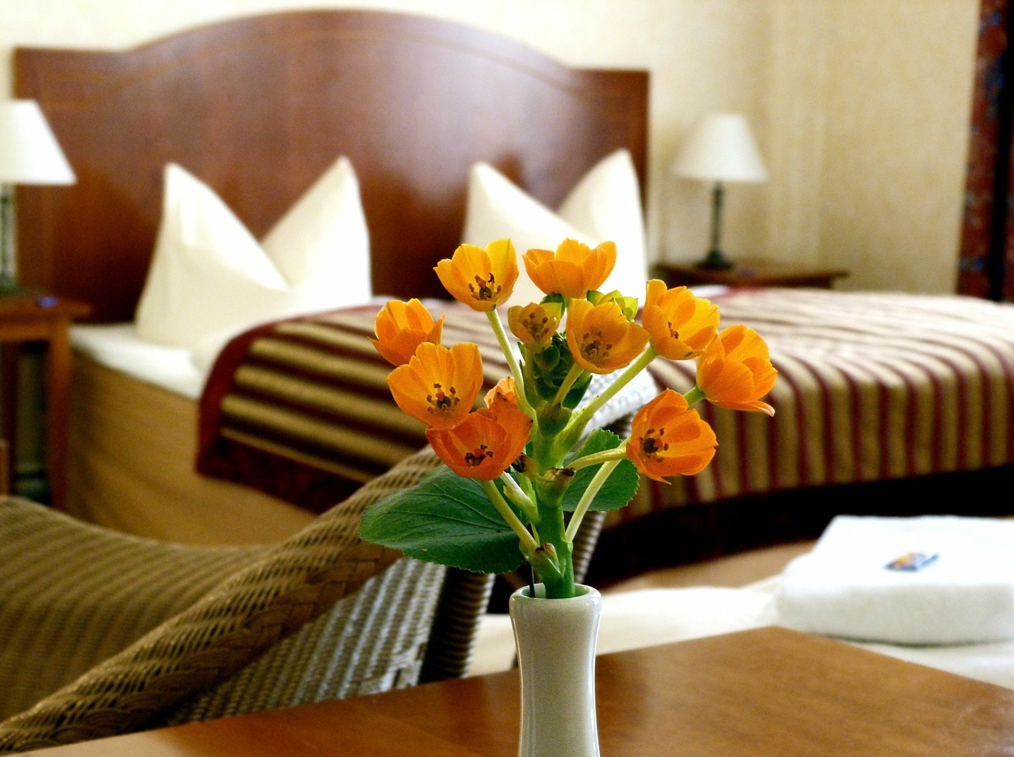 Safestay Kurfurstendamm Отель 3*
